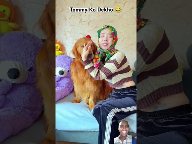 Tommy with Panchayat  #shorts #funny #comedy #ytshorts #shortsfeed #viral