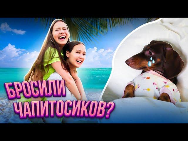 КАМИЛЛА С АРИАНОЙ СДЕЛАЛИ СЮРПРИЗ ЧАПИТОСИКАМ