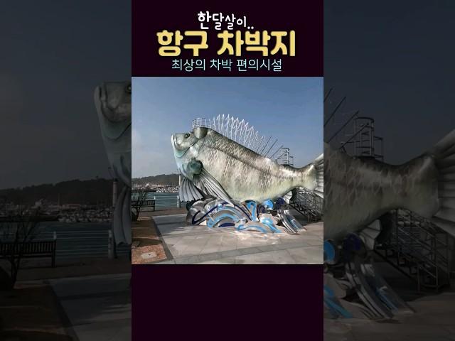 캠핑 차박 가족여행지 중 한 달도 살 수 있는 항구,대형마트에 전통시장까지 편의시설이 최상이고 낚시 관광 레져까지 모두 갖춘 국내여행지 고흥 녹동항. #shorts