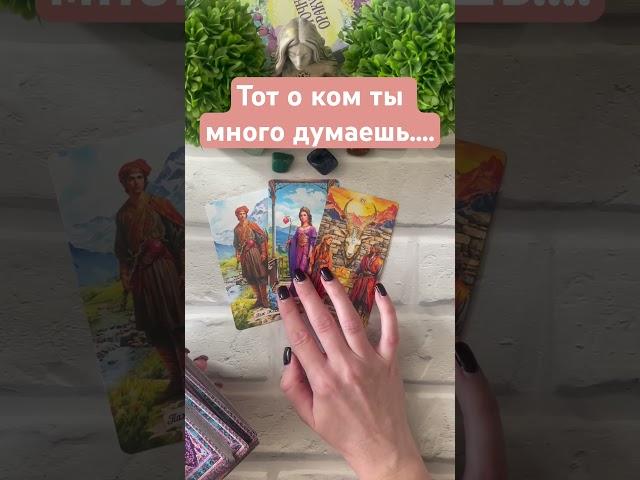 #tarot #таро #онлайгадание #раскладтаро