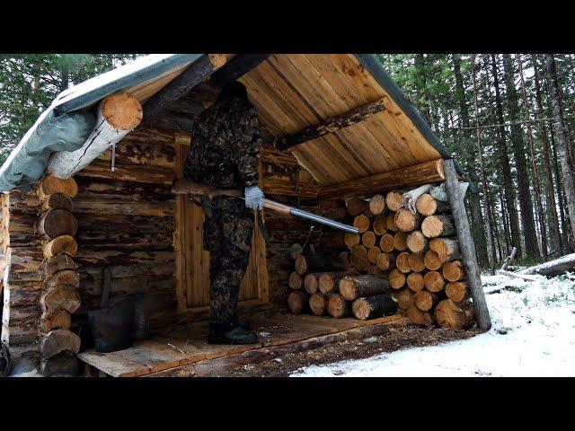 Пришёл в избу. Открыл путик. Добыл зайца.