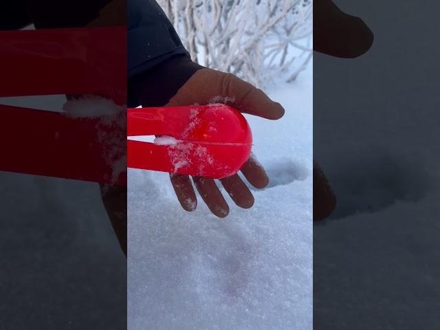 Is this the perfect Snowflake?!?