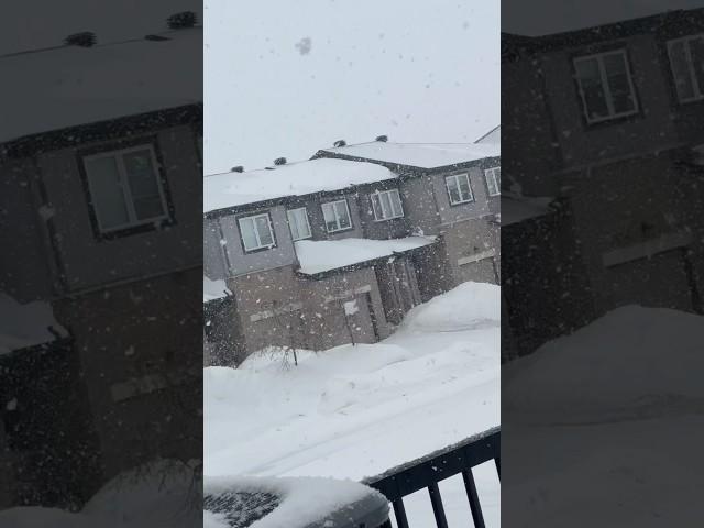 Snow️storm tippaluincanada#canadavlogs #telugushorts #snowfall #youtubeshorts #yt #trending