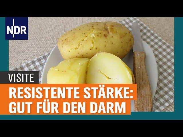 Resistente Stärke: Gut für den Darm und gegen Entzündungen | Visite | NDR