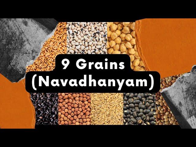 Grains name | 9 Grains | Navadhanyam | Grains name in English with pictures | Learn Grains Name |