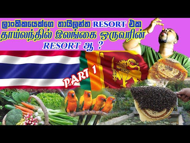 SRILANKAN RESORT IN THAILAND | PARADISE RESORT | CHIANG MAI RESORT REVIEW PART 1 - TRAVELWITHNUSKY