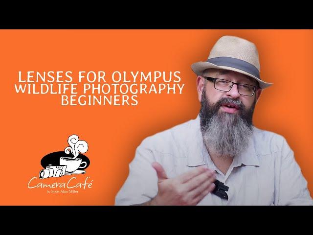 Lenses Olympus M43 Wildlife Photography Beginners