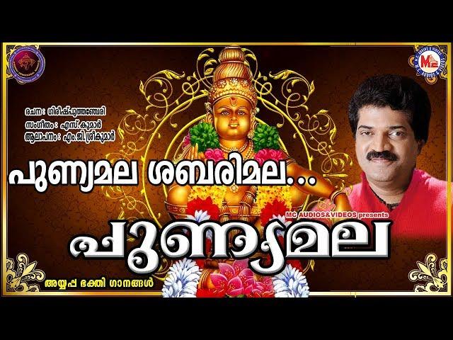 പുണ്യമല ശബരിമല | Punyamala Sabarimala | Ayyappa Devotional Song Malayalam | Mg Sreekumar