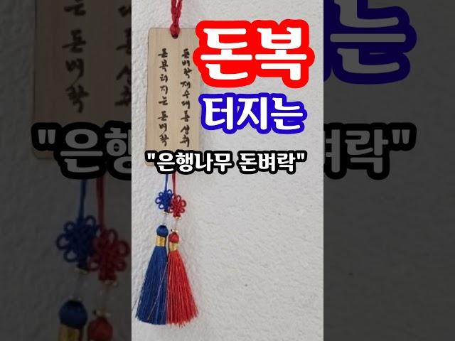 빨리 예약하세요! 돈복 터지는 걸어두는 풍수소품 "은행나무 돈벼락" 돈복 터지는 풍수 기원 참여로 선물로 받읠 수 있어요! 천년의 행운 집안에 부티나는 돈복을 몰고 옵니다