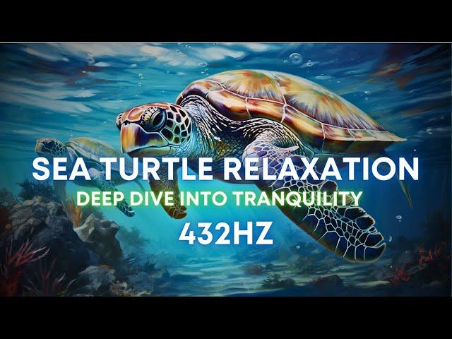 Deep Dive into Serenity | Sea Turtle Meditation for Inner Healing and Tranquility #animalplanet #sea