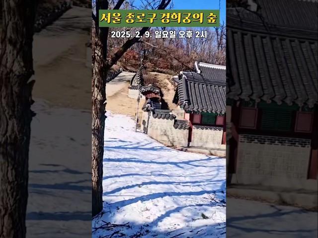 [도시숲] 서울 종로구 경희궁의 숲