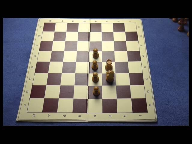 Schach lernen in 30 Minuten