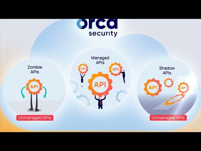 Orca Security Provides Agentless API Security in the Cloud | Cloud Security Tools and Solutions