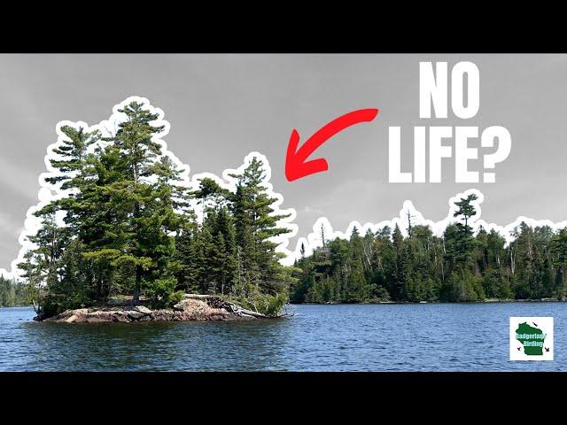 Birding a TINY Island - You Won't Believe What We Found!