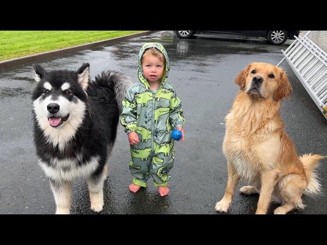 Adorable baby Boy And His Dogs Play In The Rain! (Cutest Ever!!)