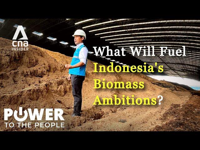 Indonesia's Transition To Biomass Sparks Resistance: Can Bioenergy Work? | Power To The People