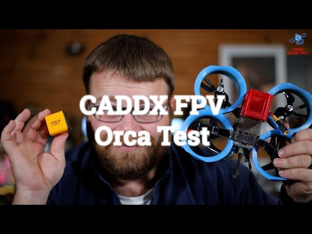 Caddx FPV Orca Test and Review - An Honest One!