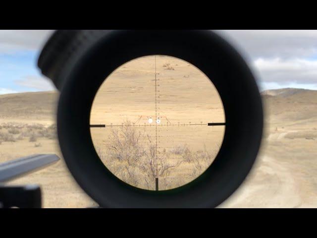 How Much Zoom Do You Need for Long-Range Rifles?