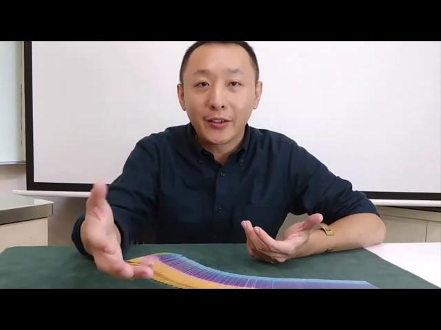 綠色奇蹟冥想使用方法  曼陀羅禪卡 LGT語言引導師 深化系統分享 -8