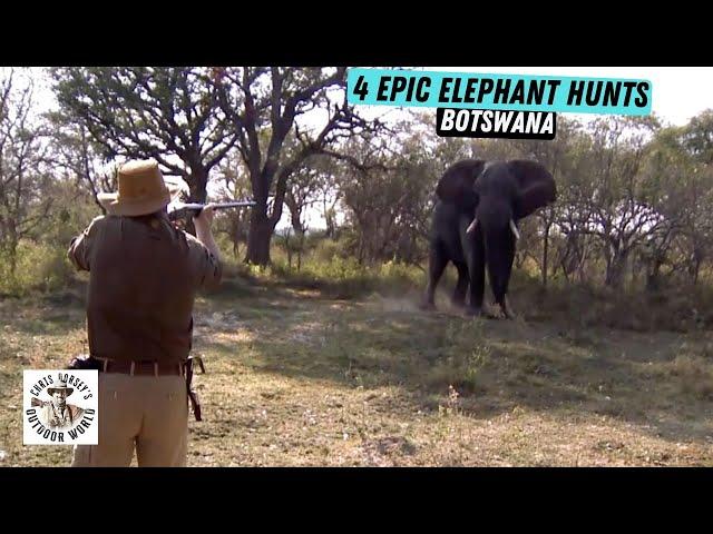 4 Epic Elephant Hunts from Botswana!