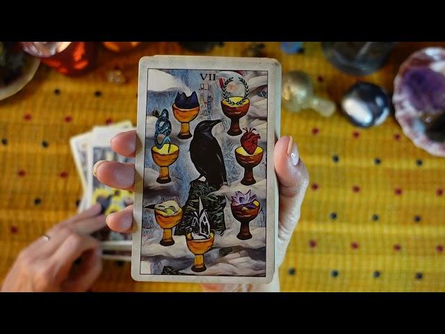 CROW TAROT - Deck Review