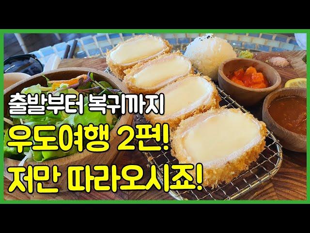 A perfect review of the daily schedule of Jeju Island's Udo Island trip.