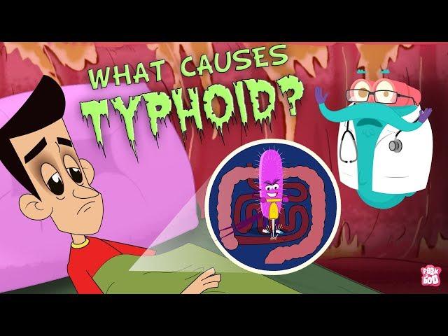 What Causes Typhoid? | The Dr. Binocs Show | Best Learning Videos For Kids | Peekaboo Kidz