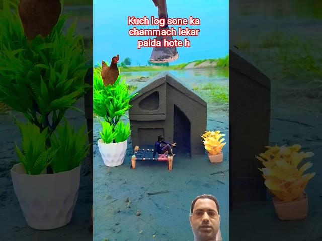crazy videography ideas l #virelshorts #ideas #comedy #birds