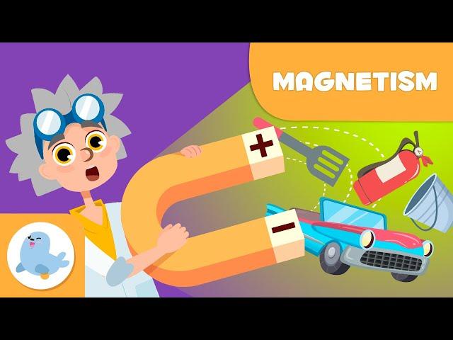 MAGNETISM for Kids  What are Magnets?  Science for Kids