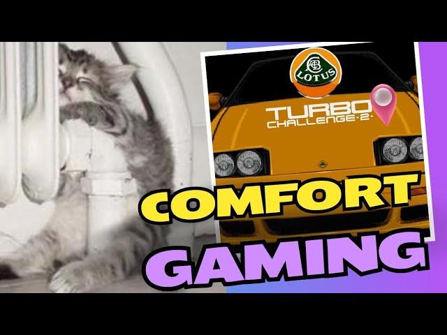 COMFORT GAMING...WHAT ARE YOURS  #amiga #retrogaming #cat