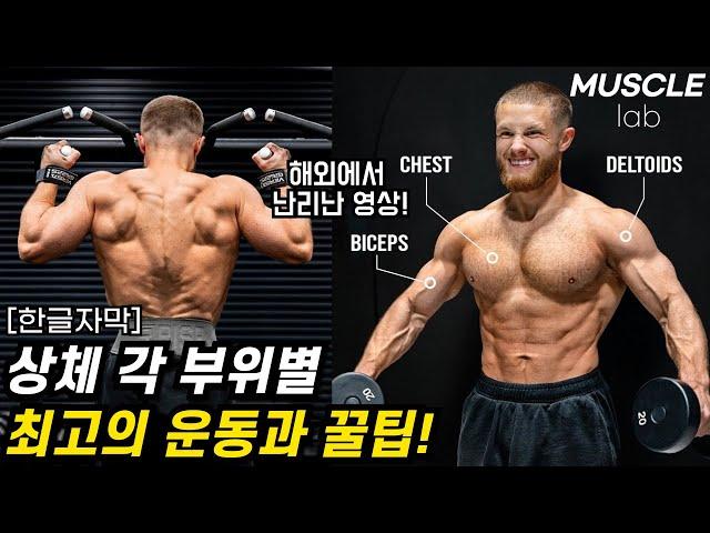 제프 니파드가 꼽은 상체 각 부위별 최고의 운동과 꿀팁!