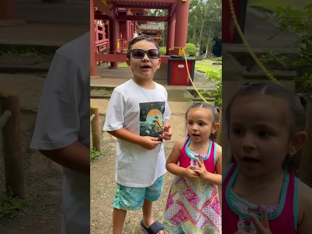 #exploringhistory #exploringculture #japanesetemple #hawaii #hawaiihomes #thiago #travel #kidtravel