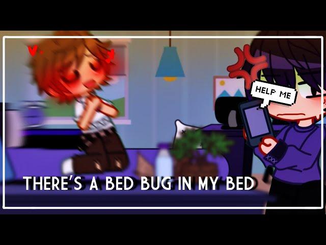 There's a bed bug in my bed. |tmf|skit|lander|