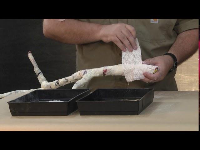 Building an Artificial Tree Limb | Taxidermy Supply | Scenes-n-Nature®