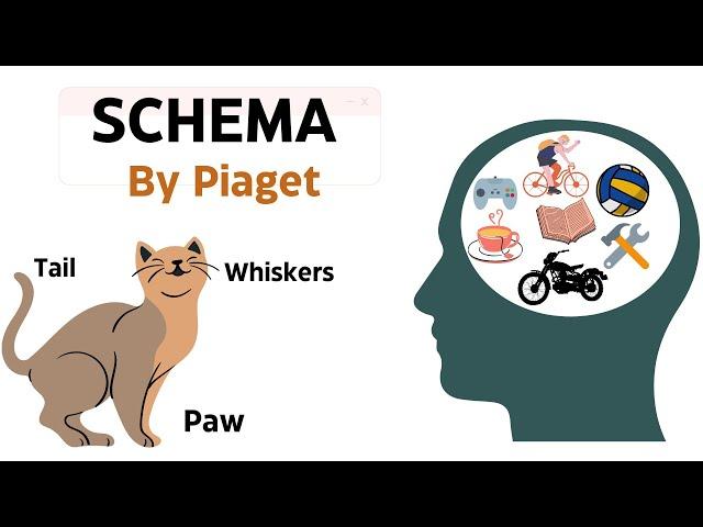 Piaget - Schema in 2 minutes | Constructs and Critical Perspectives