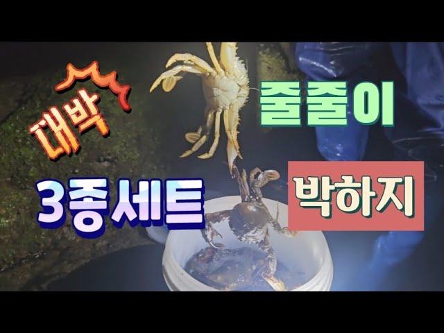 [고독한허당] 해루질 지금시즌 쓸어담는 이것은?!(feat. 삼겹살&꼬막무침)