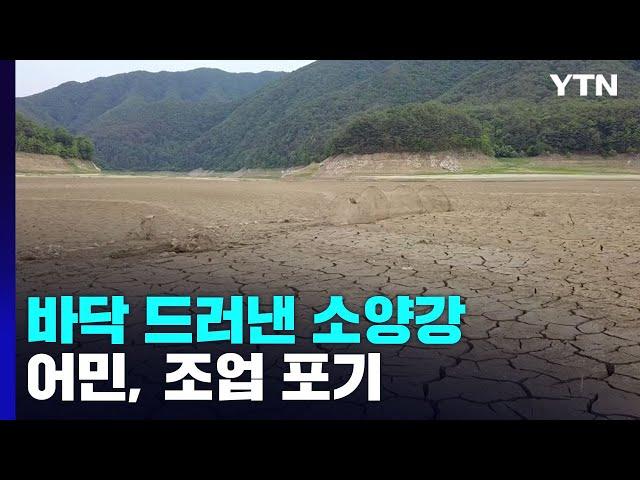 가뭄에 실개천 된 소양강...어민 조업 포기 / YTN