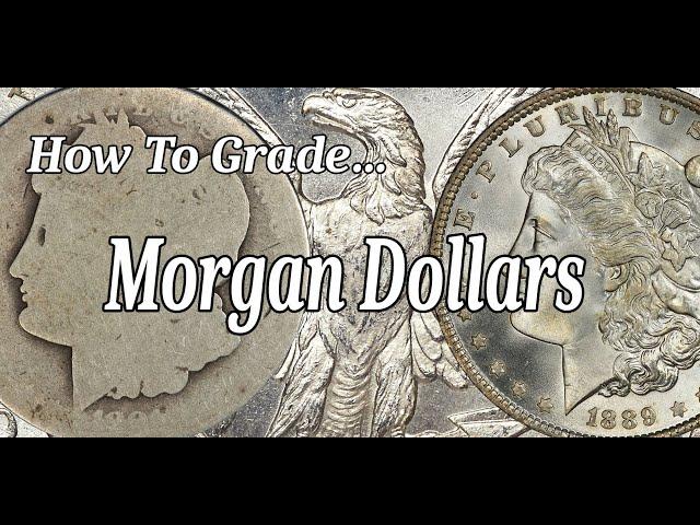 How To Grade Morgan Silver Dollars - My Personal Grading Technique