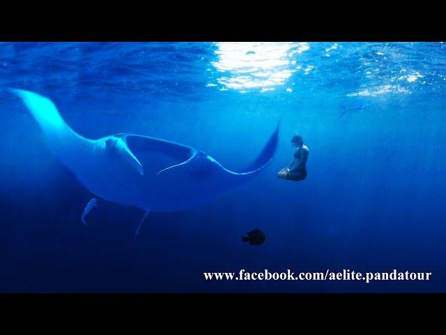 Meditation music online Relax deep meditation Yoga music meditation горящие туры Мальдивы Six Senses