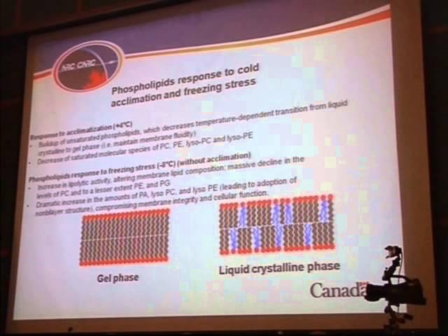 Mechanisms For Crop Protection Dynamics and Potentials of Phospholipid Signals