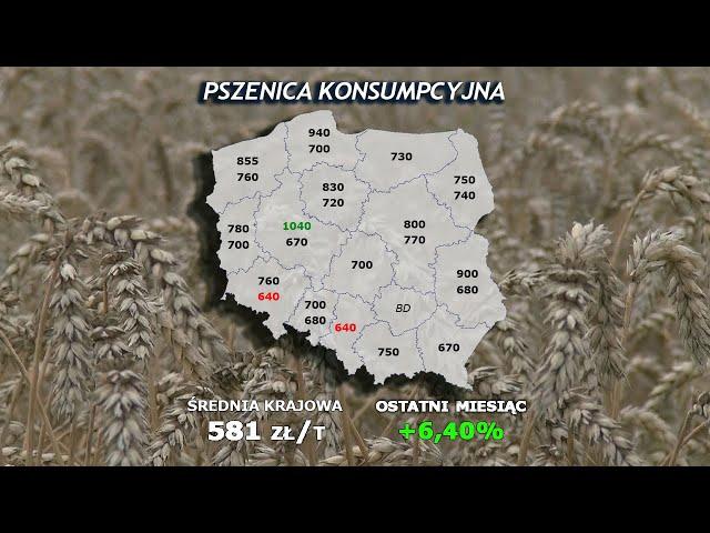 #251 agro wiadomości nonstop   30 04 2024