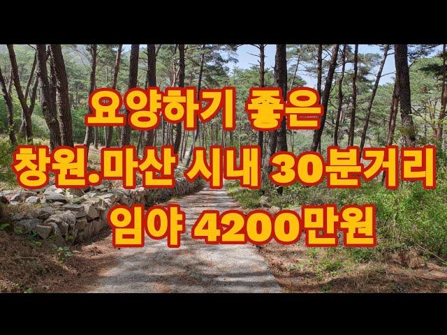 마산 산세좋은 임야매매 4200만원