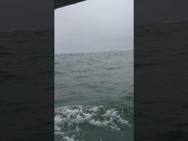 Ilha dos lobos Torres RS