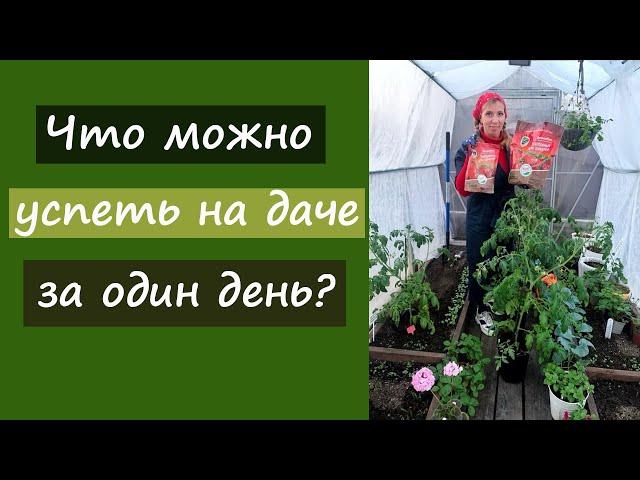 Что можно успеть на даче за один день?