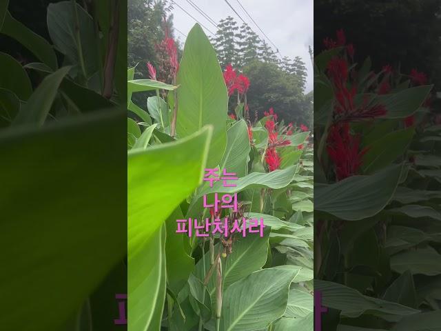 #구독 #드림찬양선교방송 #선교 #열방 #유튜브방송