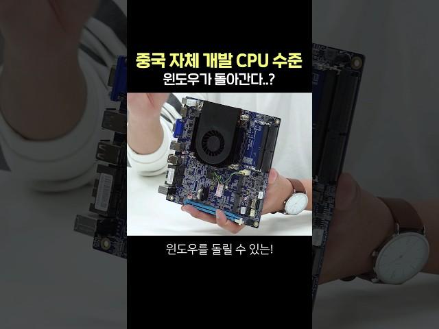 중국 '자체 개발' CPU 수준