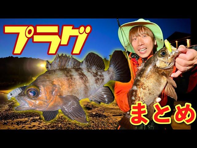 [Rockfish] Plugs only! A compilation of the best videos of huge rockfish being caught right from ...