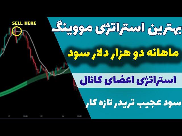 استراتژی عجیب اعضای کانال(31) | با این روش پراپ پاس کن