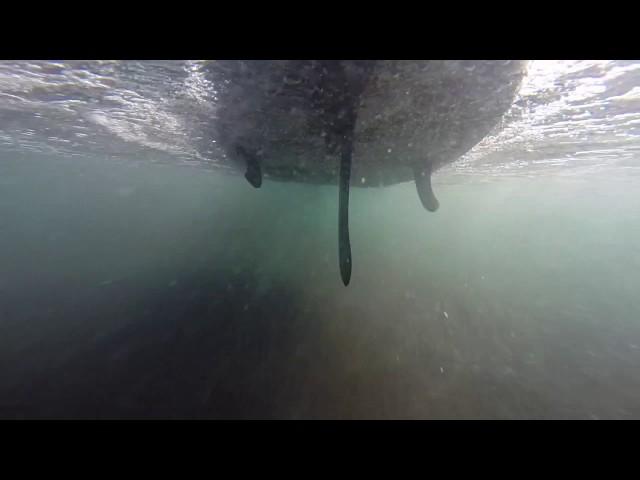 Surfing Kamchatka