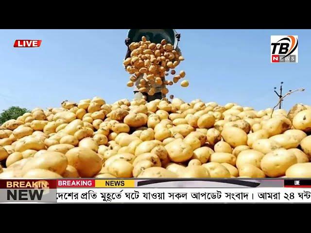 এইমাএ পাওয়া Ajker khobor 22 Nov 2024 | Bangladesh latest news | BD VIP News | banglavision |bdnews24